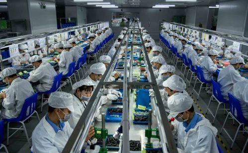 泡沫上的藍(lán)海 生物制藥企業(yè)被忽視的真相